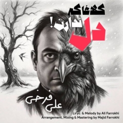 دانلود آهنگ علی فرخی کلاغا که دل ندارن